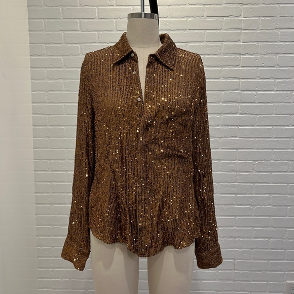 ZARA Copper Sequin Blouse - Picture 2 of 7